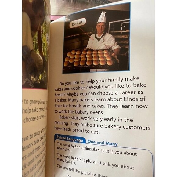 Scott Foresman Reading Street 3  Elementary Homeschooling reading books - Picture 3 of 6